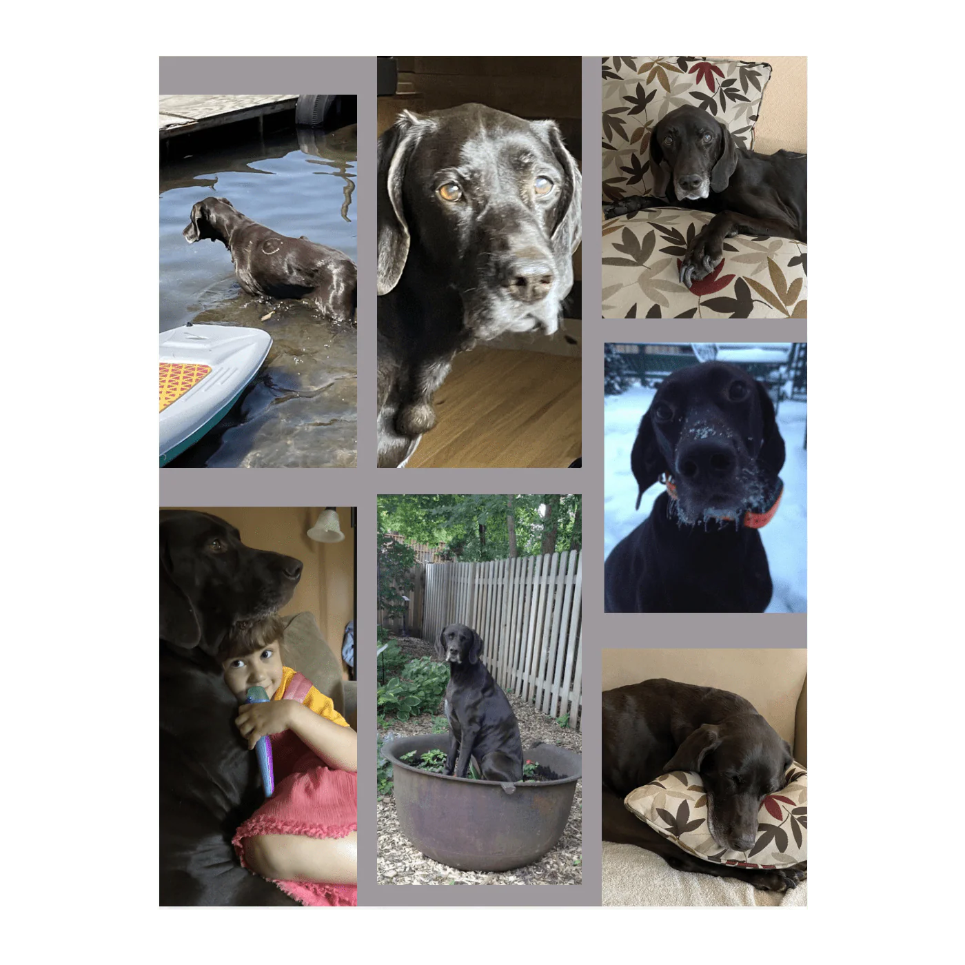 Build Your Own Design Custom Photo Collage Blanket | Blanket Personalized With Your Pictures