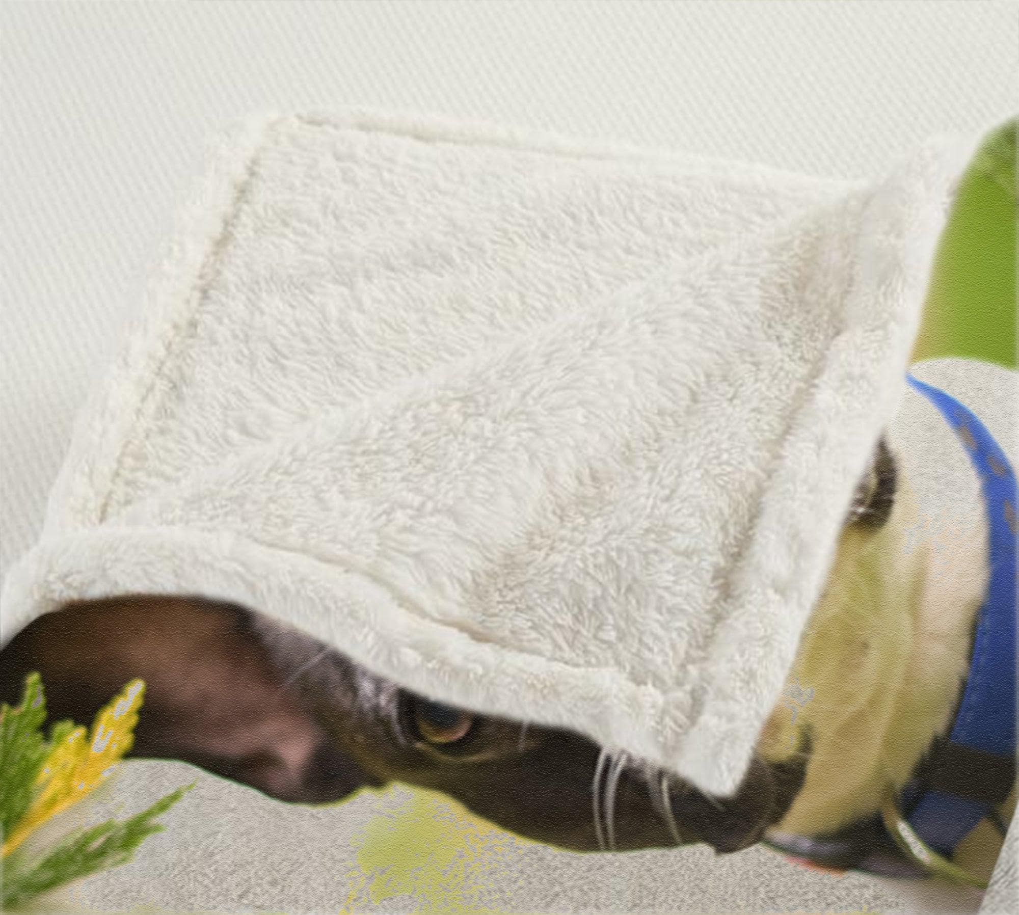 Create a one-of-a-kind personalized gift with our cozy fleece blanket! Upload your photos and we'll take care of the rest. Perfect for snuggling up with your memories.15 photo collage fleece blanket. Shop now! - Image 4